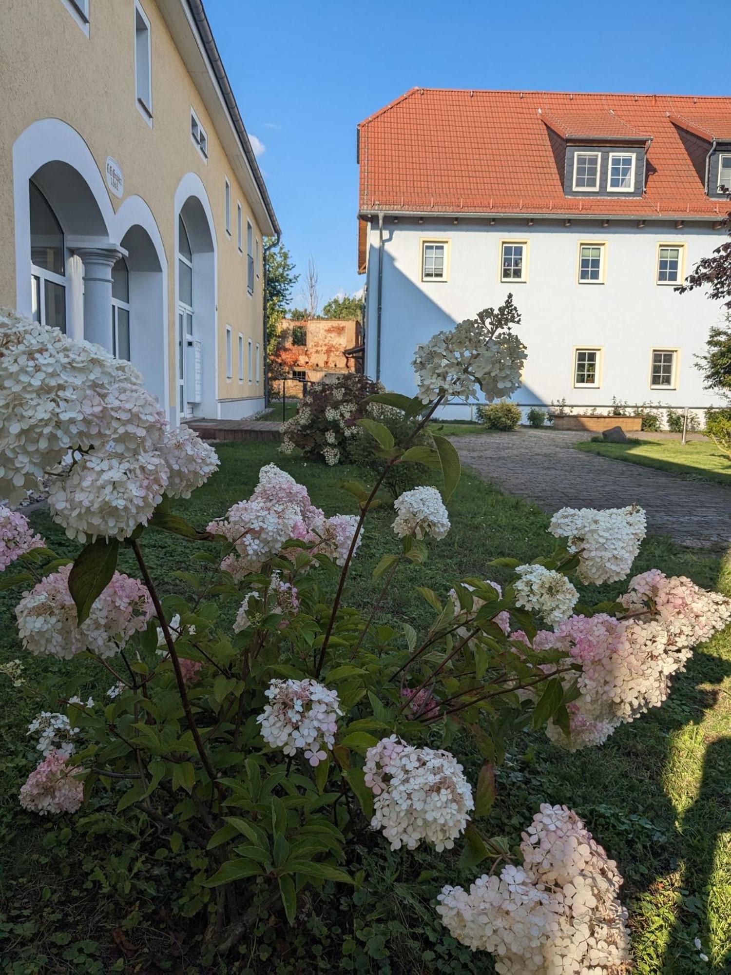 Apartamento Hof Gruebler Klipphausen Exterior foto